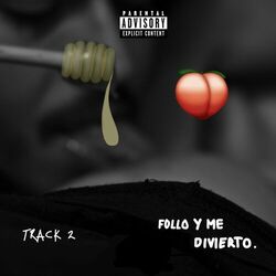 Cover of Follo y me divierto.
