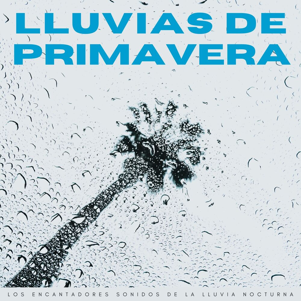 Picture of Lluvias De Primavera: Los Encantadores Sonidos De La Lluvia Nocturna