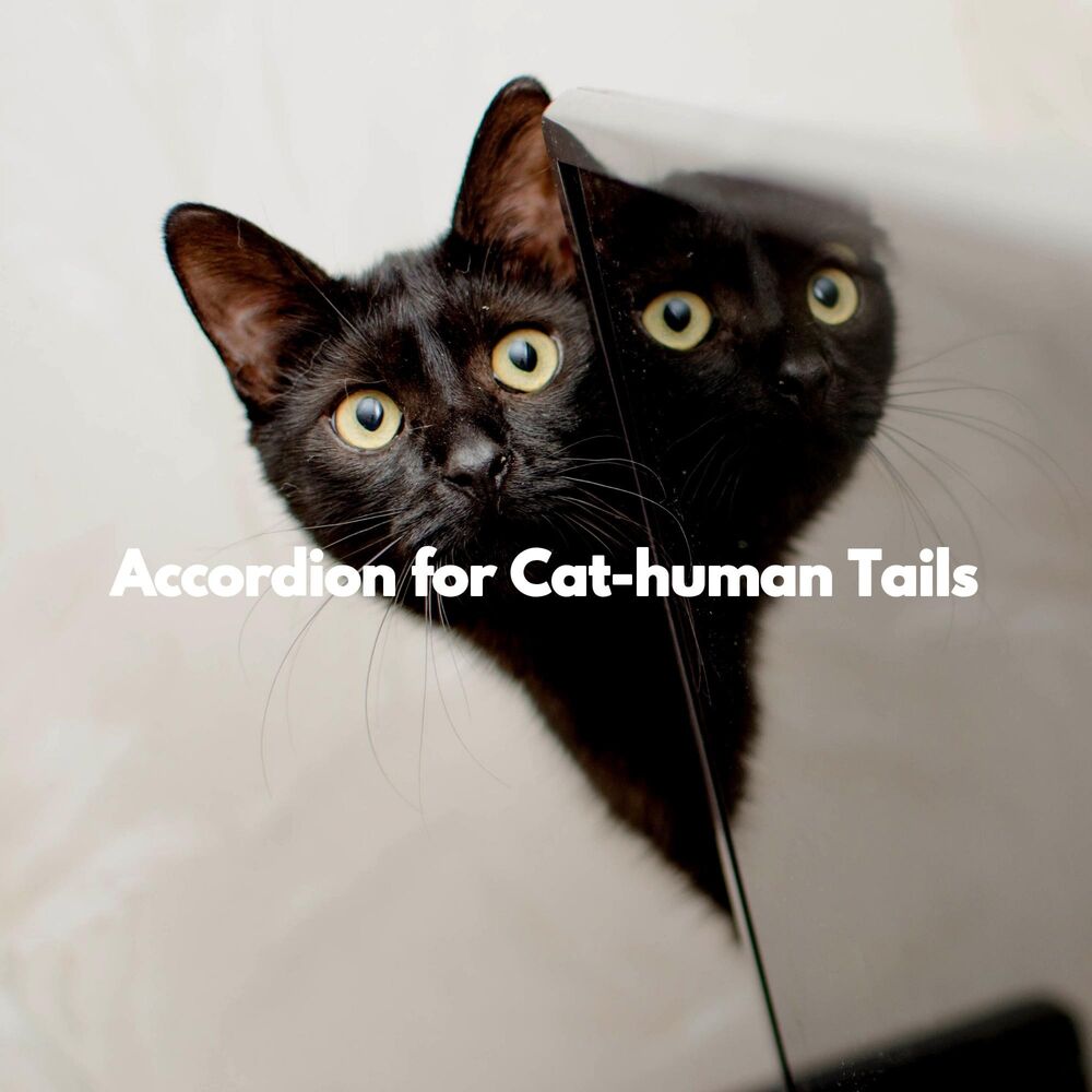 Picture of Accordion for Cat-human Tails