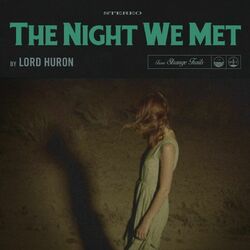 Cover of The Night We Met