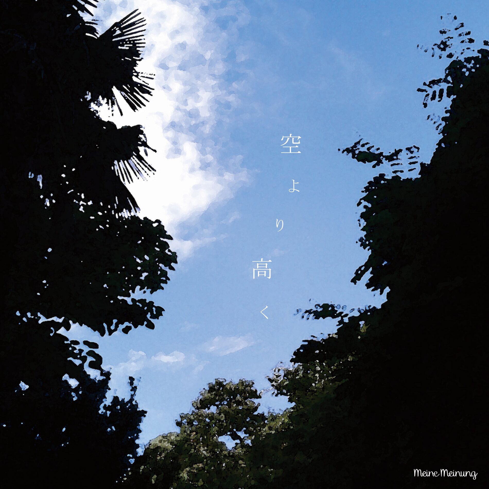Album cover of Higher Than The Sky