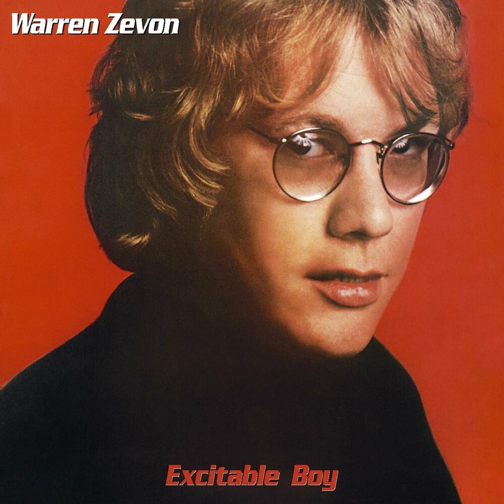 Picture of Excitable Boy