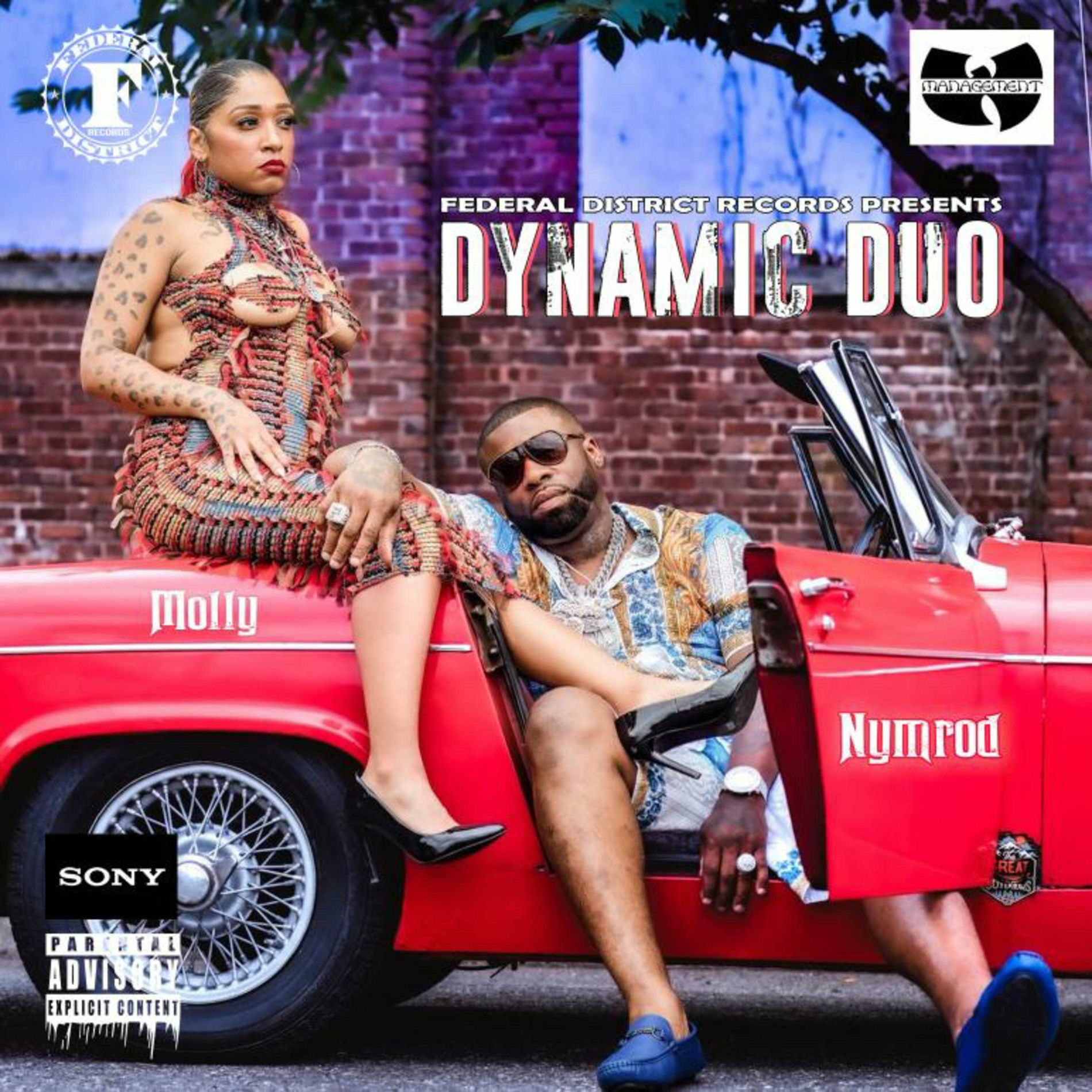 Album cover of THE DYNAMIC DUO: NYMROD AND MOLLY