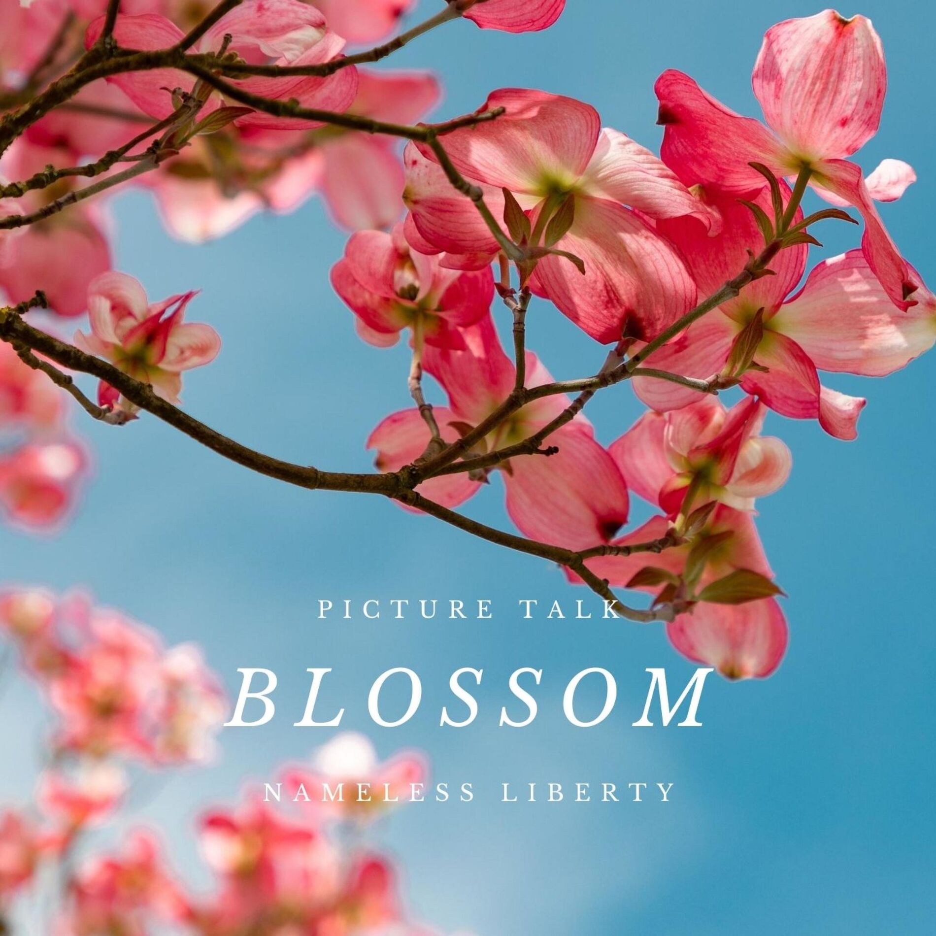 Album cover of Blossom