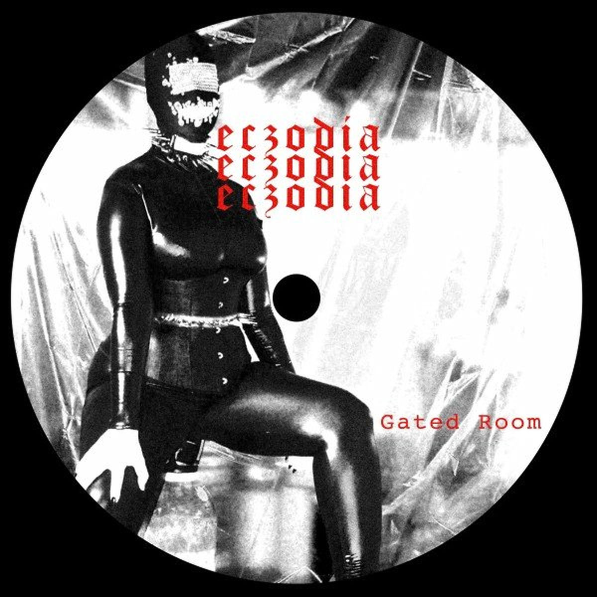 Album cover of Gated Room