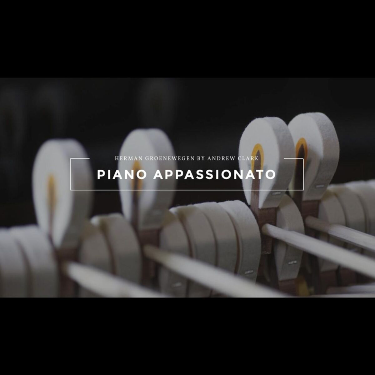 Album cover of Herman Groenewegen: Piano Appassionato