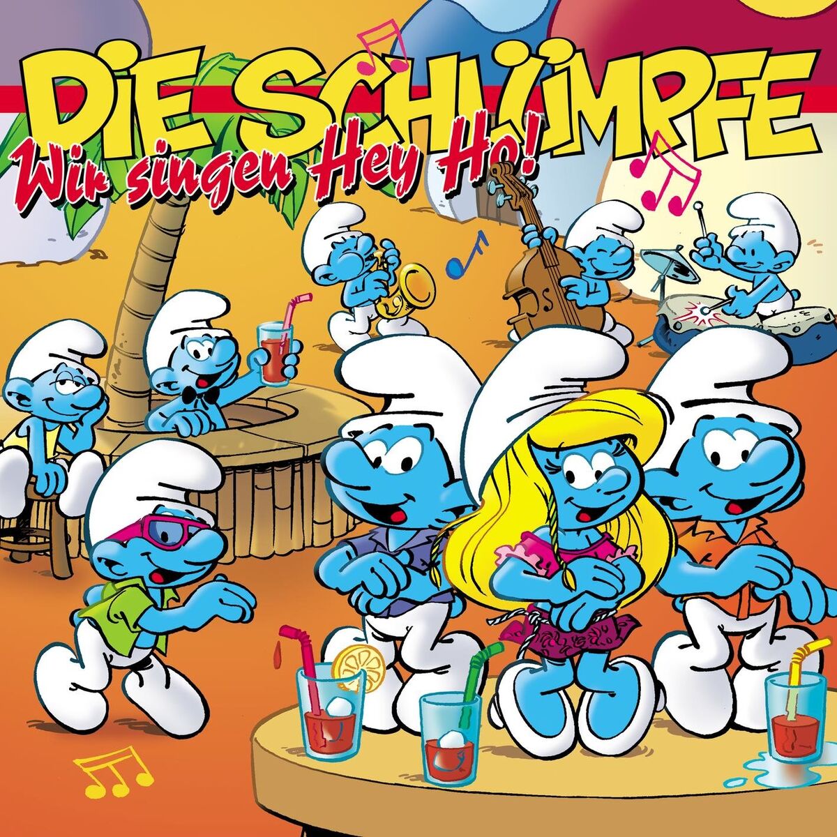 Album cover of Wir singen Hey Ho!