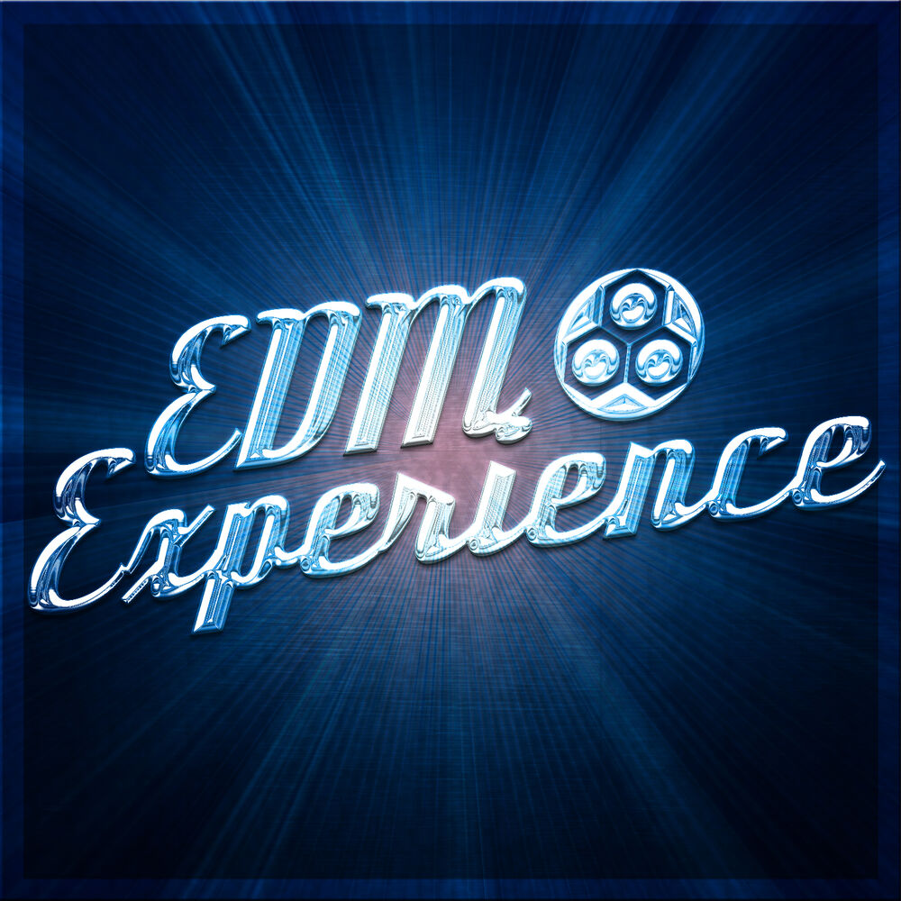 Picture of EDM Experience