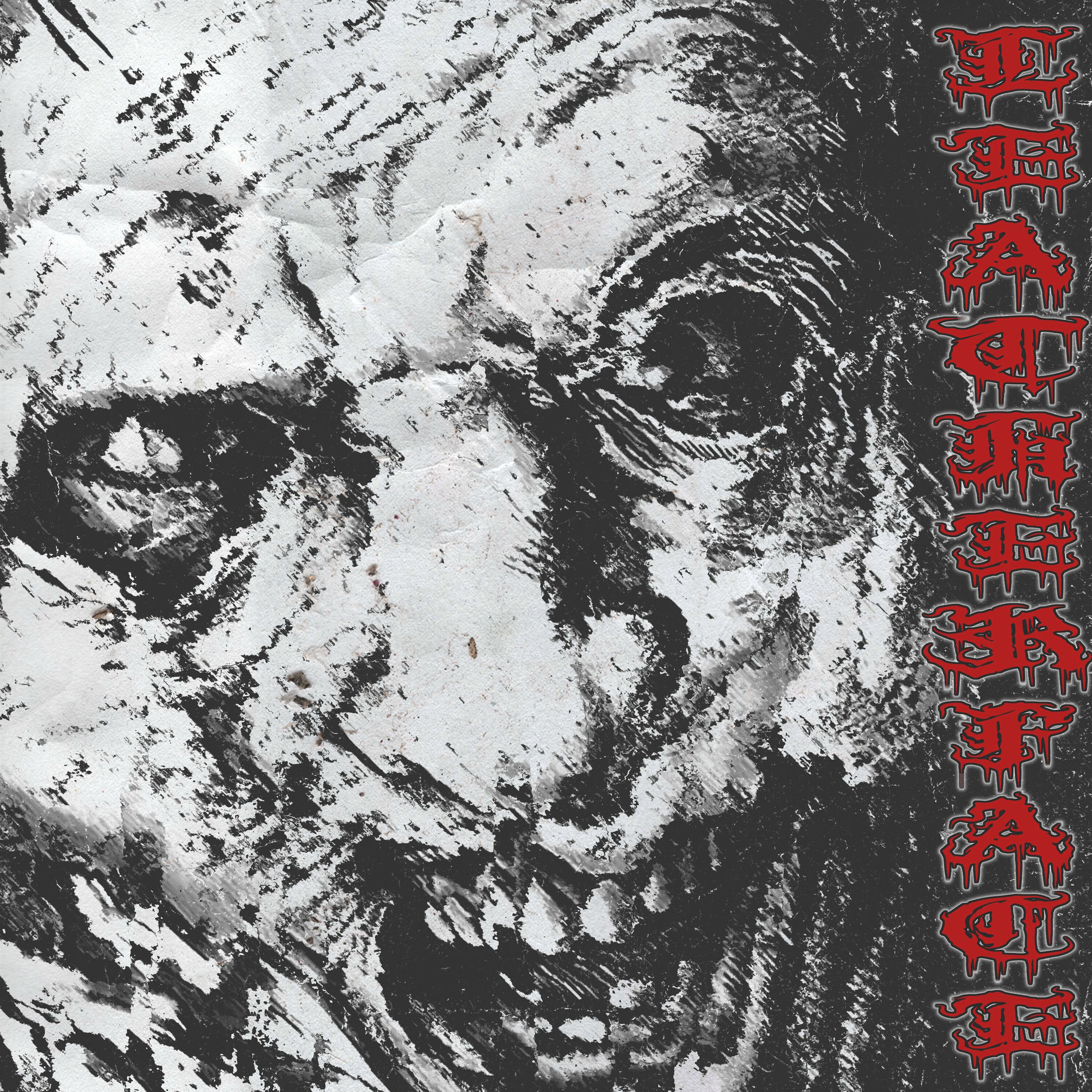 Album cover of LEATHERFACE