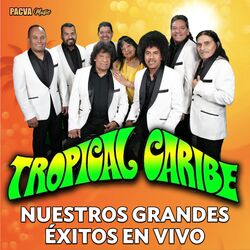 Cover of NUESTROS GRANDES EXITOS EN VIVO