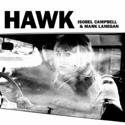 Cover of Hawk