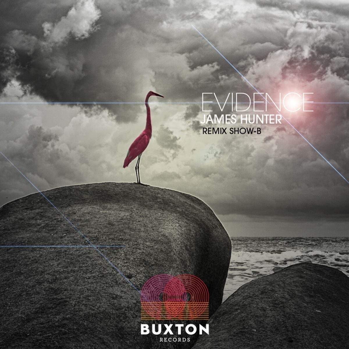 Album cover of Evidence
