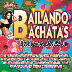 Cover of Bailando Bachatas