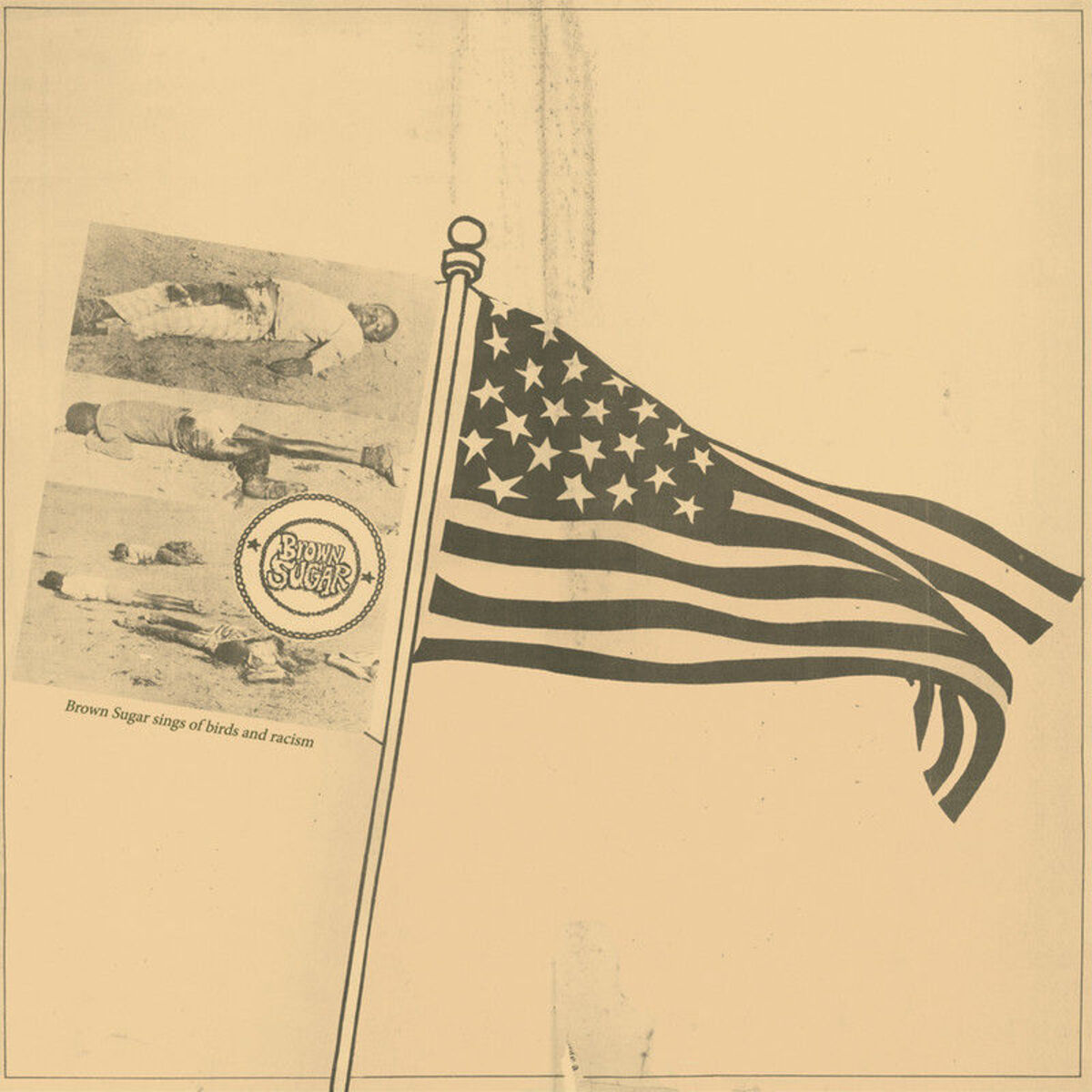 Album cover of Sings of Birds and Racism