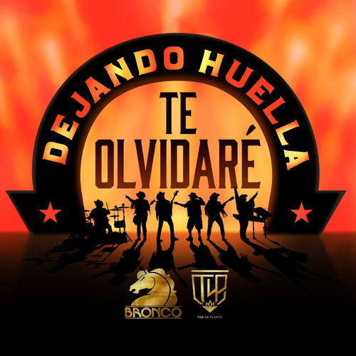 Te Olvidaré