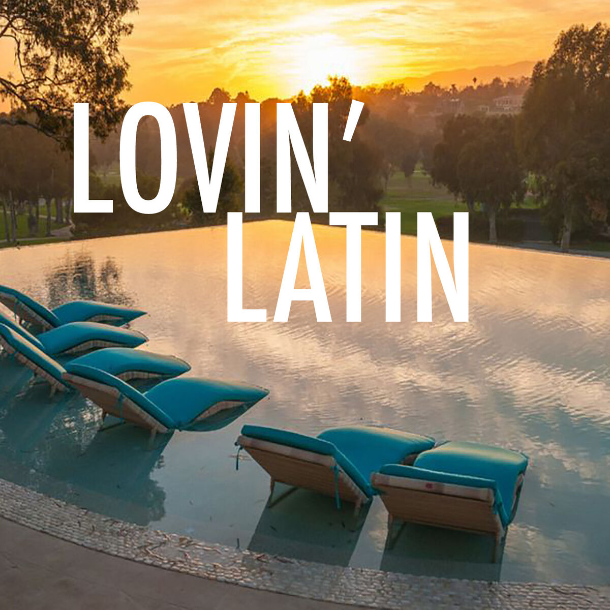 Album cover of Lovin' Latin