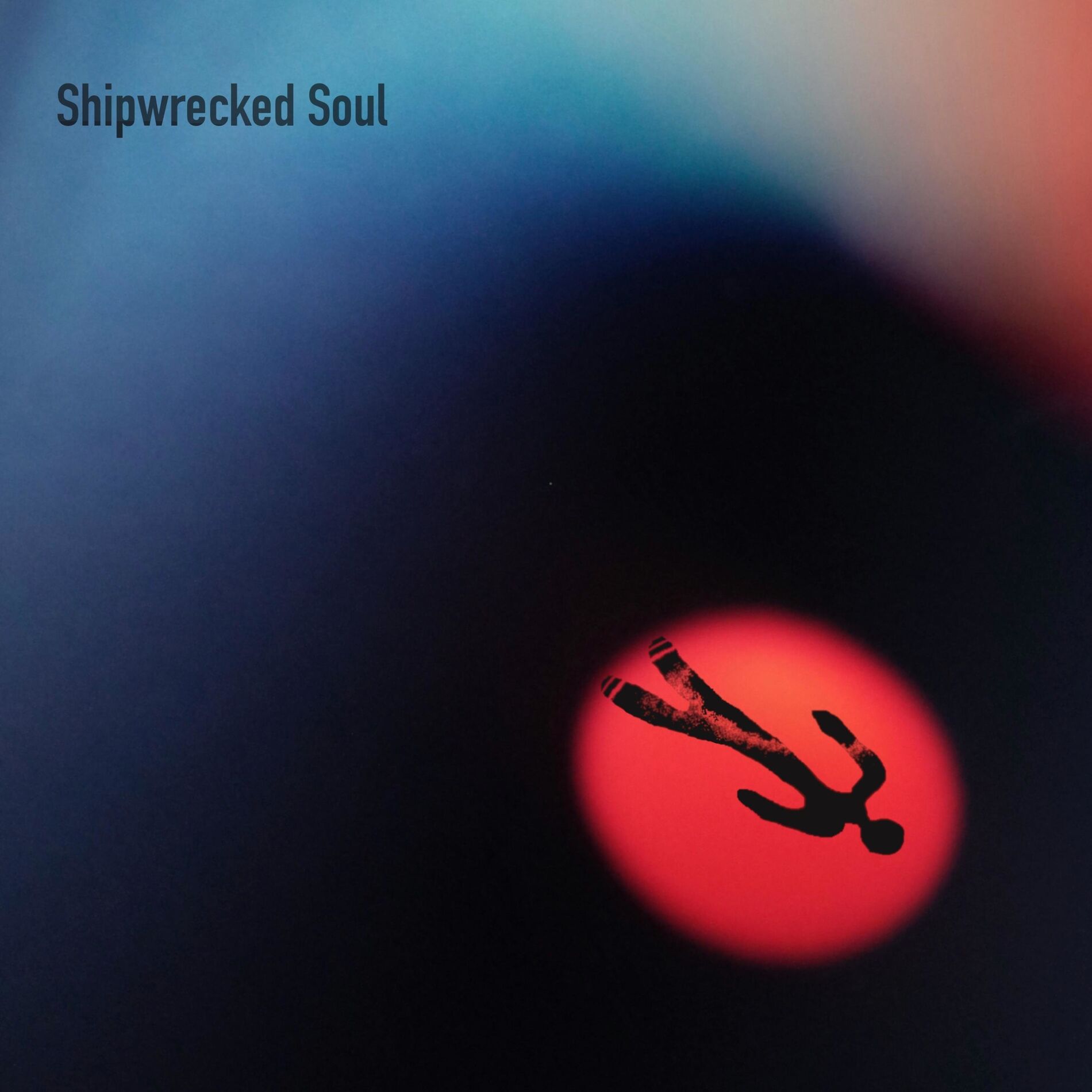 Album cover of Shipwrecked Soul