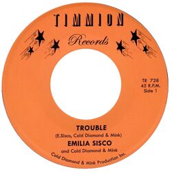 Cover of Trouble