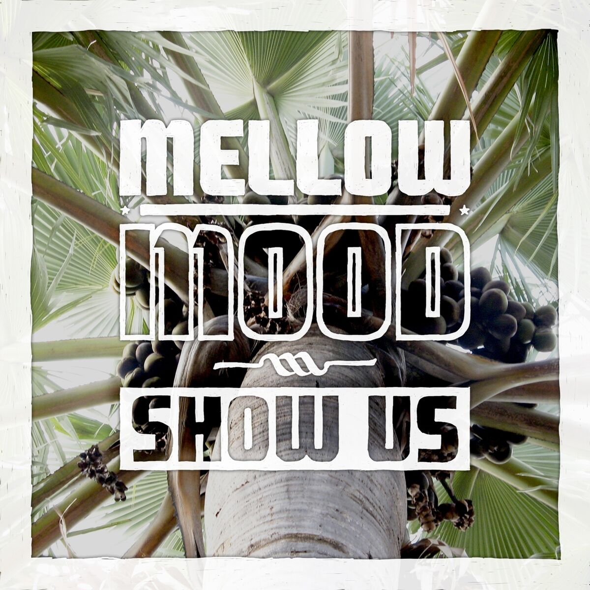 Album cover of Show Us