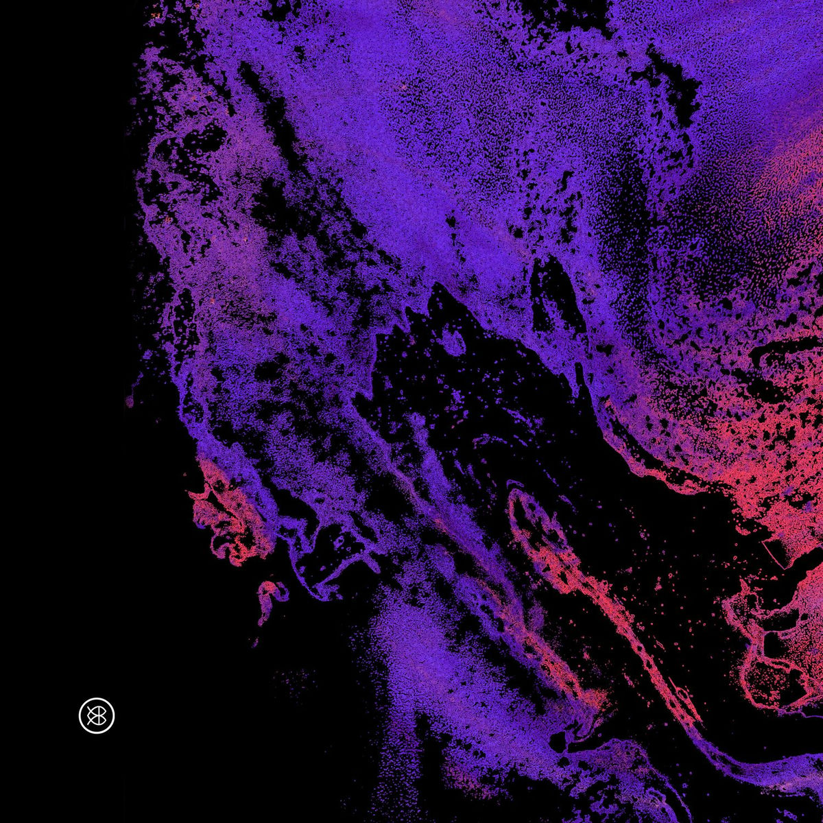 Album cover of Anestesia