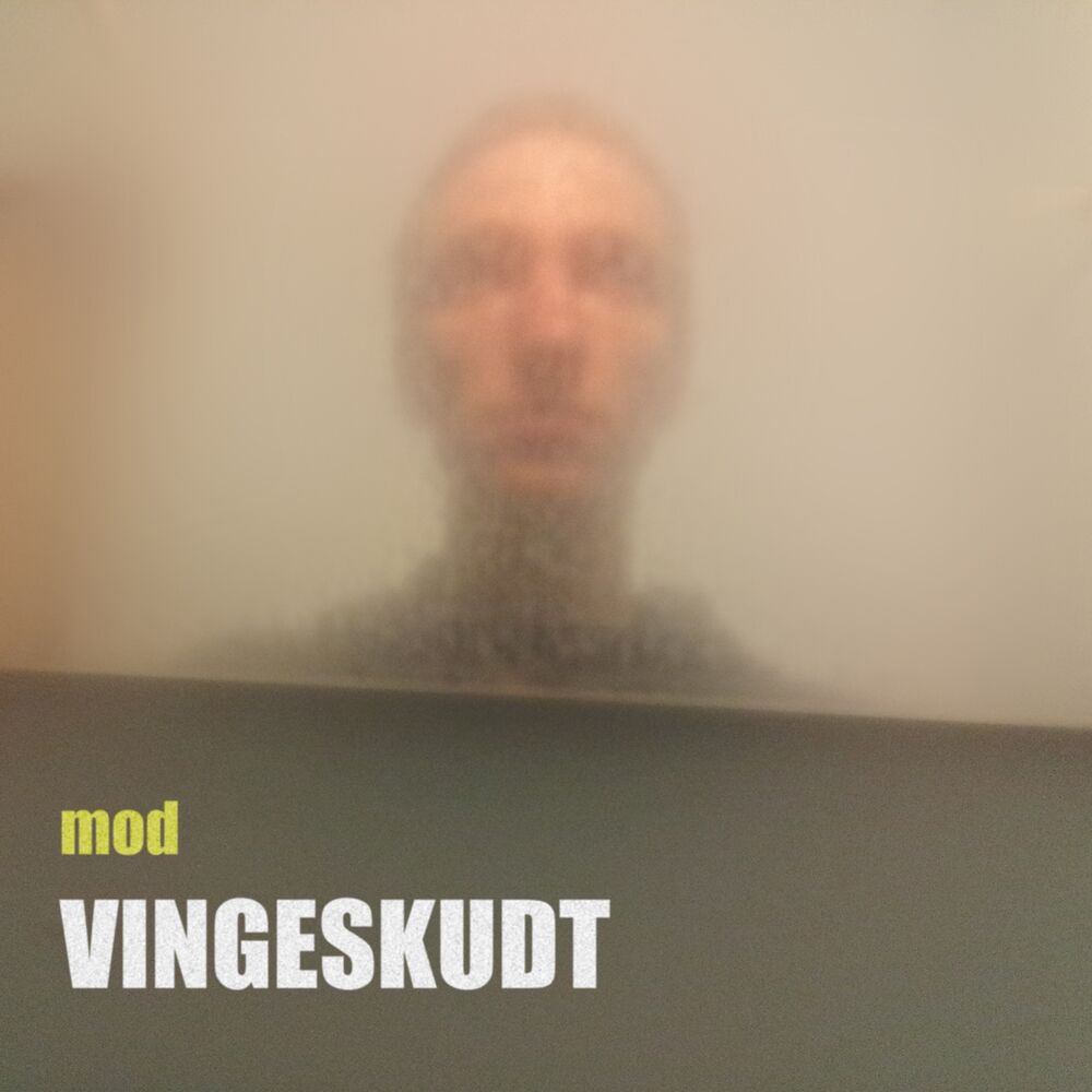 Picture of VINGESKUDT