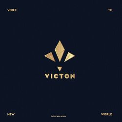 Cover of Voice To New World