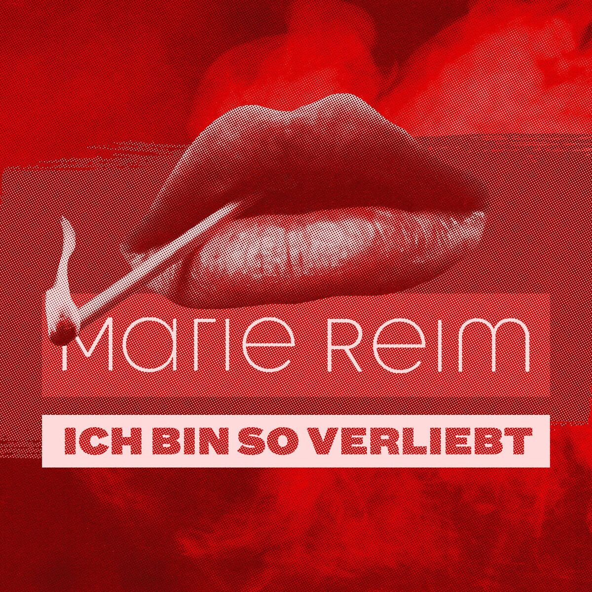Album cover of Ich bin so verliebt