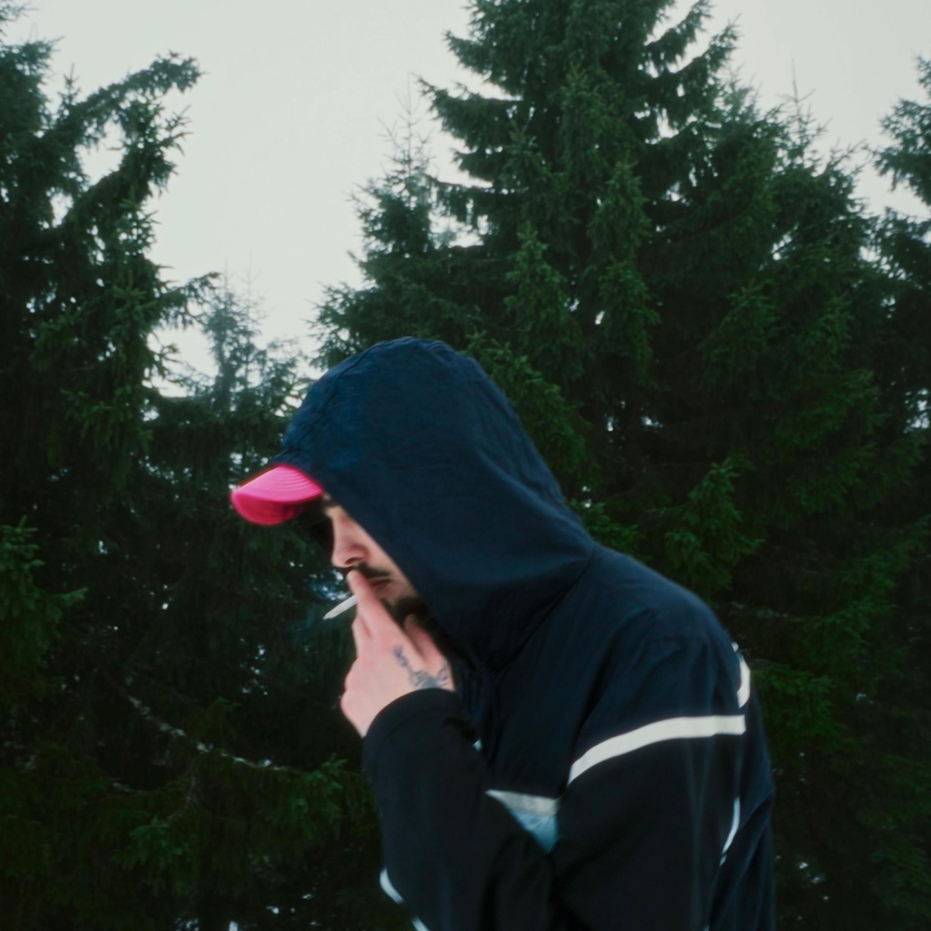 Album cover of THC