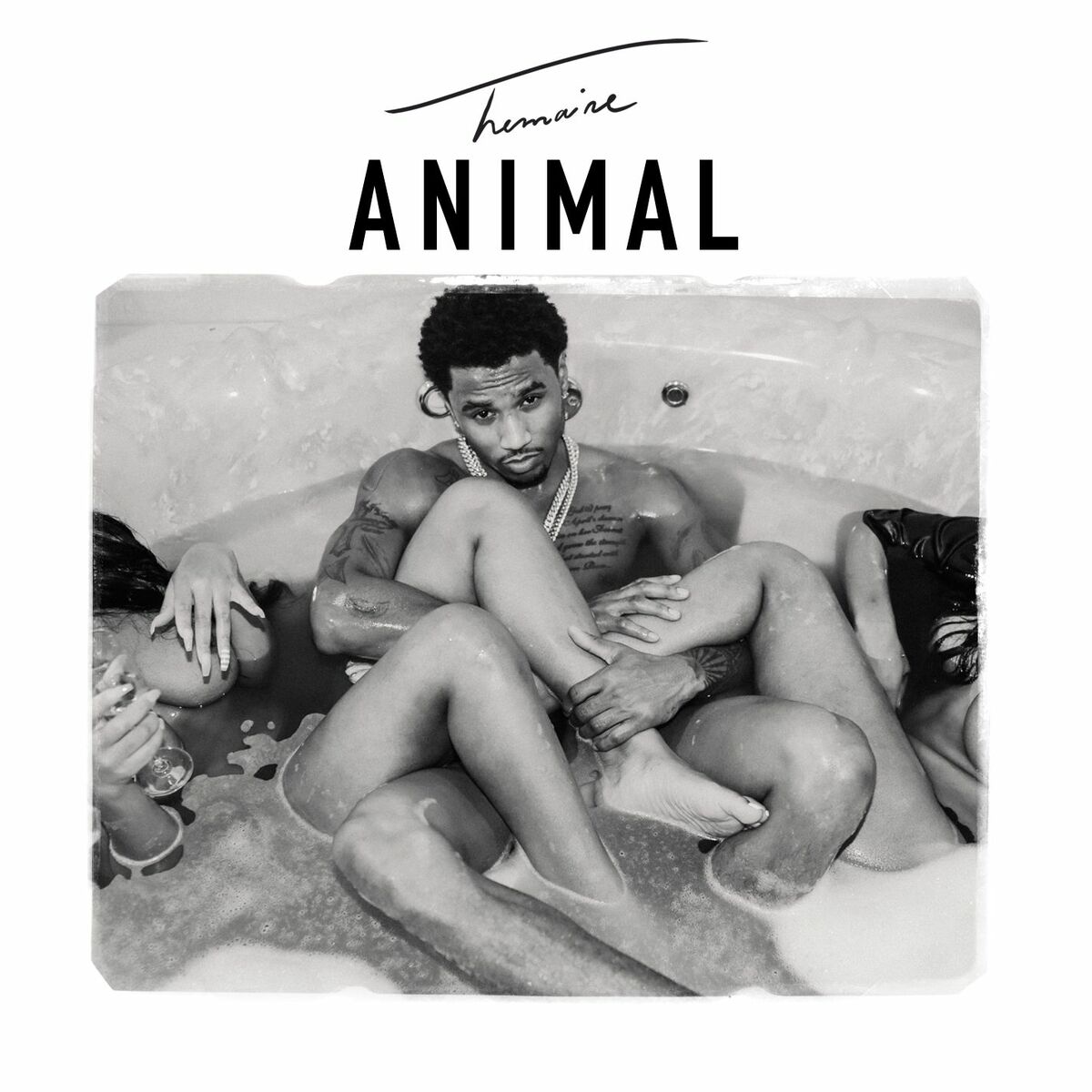 Album cover of Animal