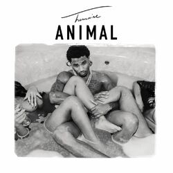 Cover of Animal