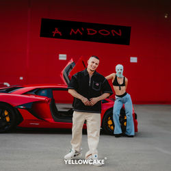 Pochette album
