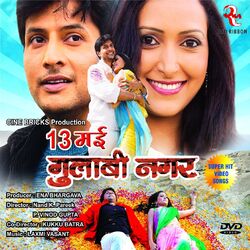 Cover of 13 May Gulabi Nagar