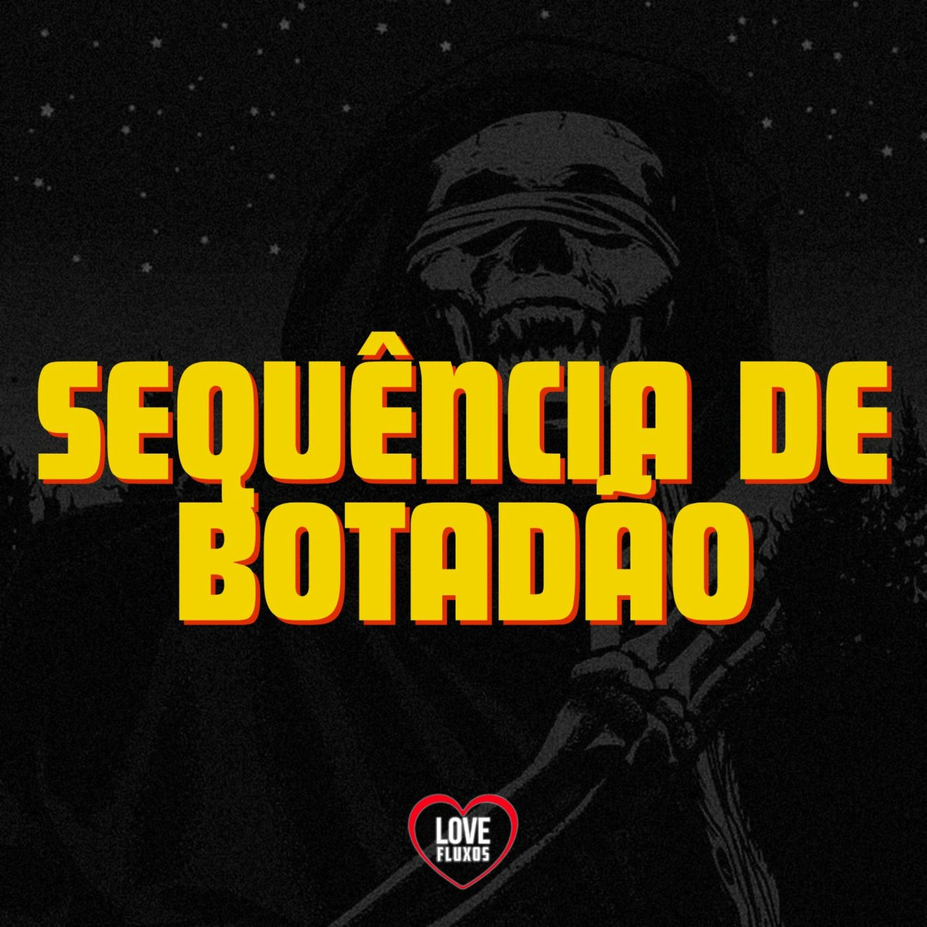 Album cover of Sequência de Botadão