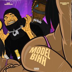 Cover of MODEL BIHH