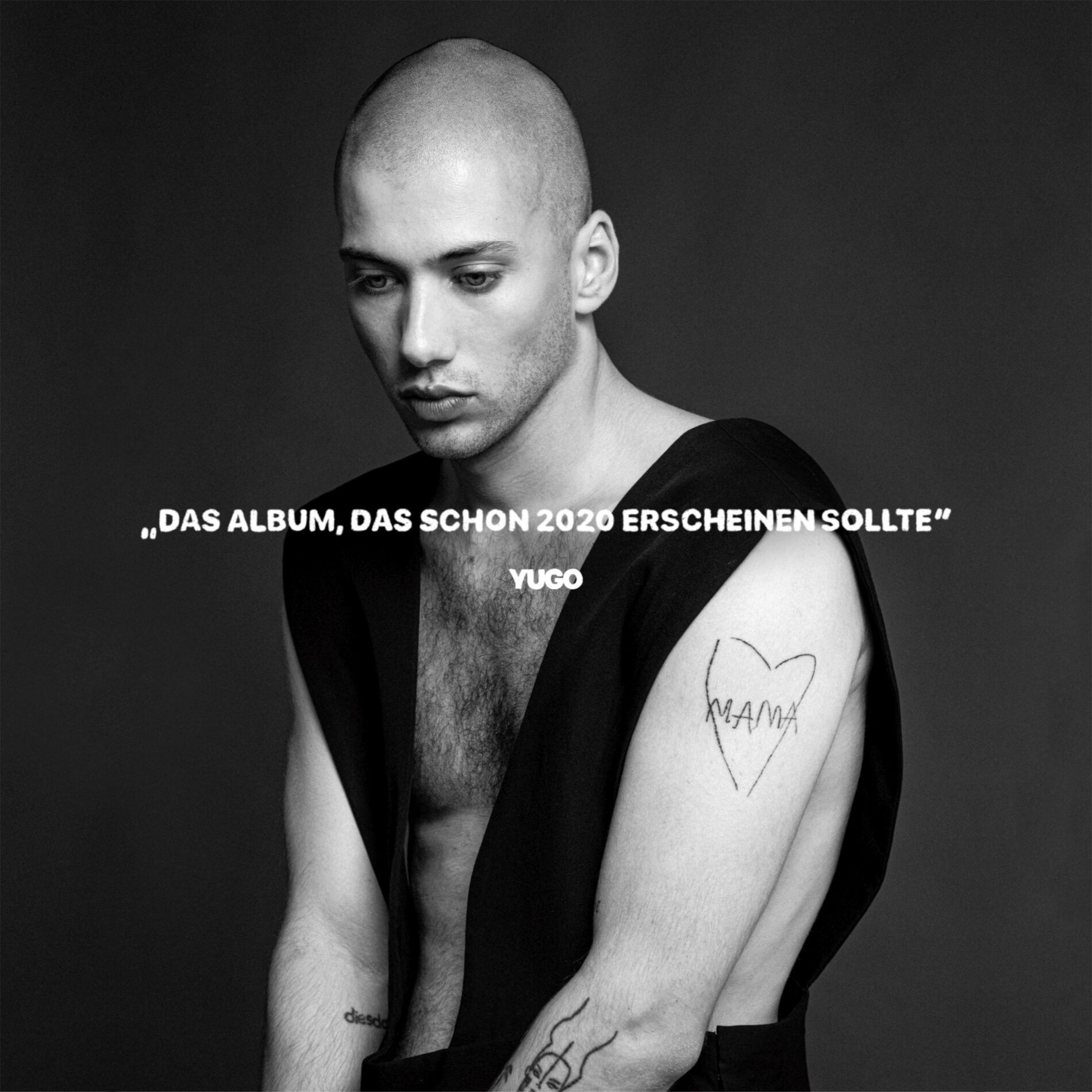 Album cover of Das Album, das schon 2020 erscheinen sollte