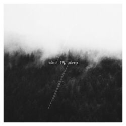 Cover of While/Asleep