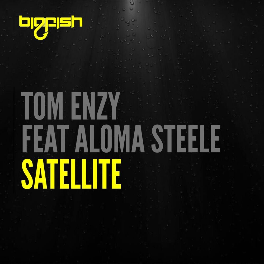 Picture of Satellite