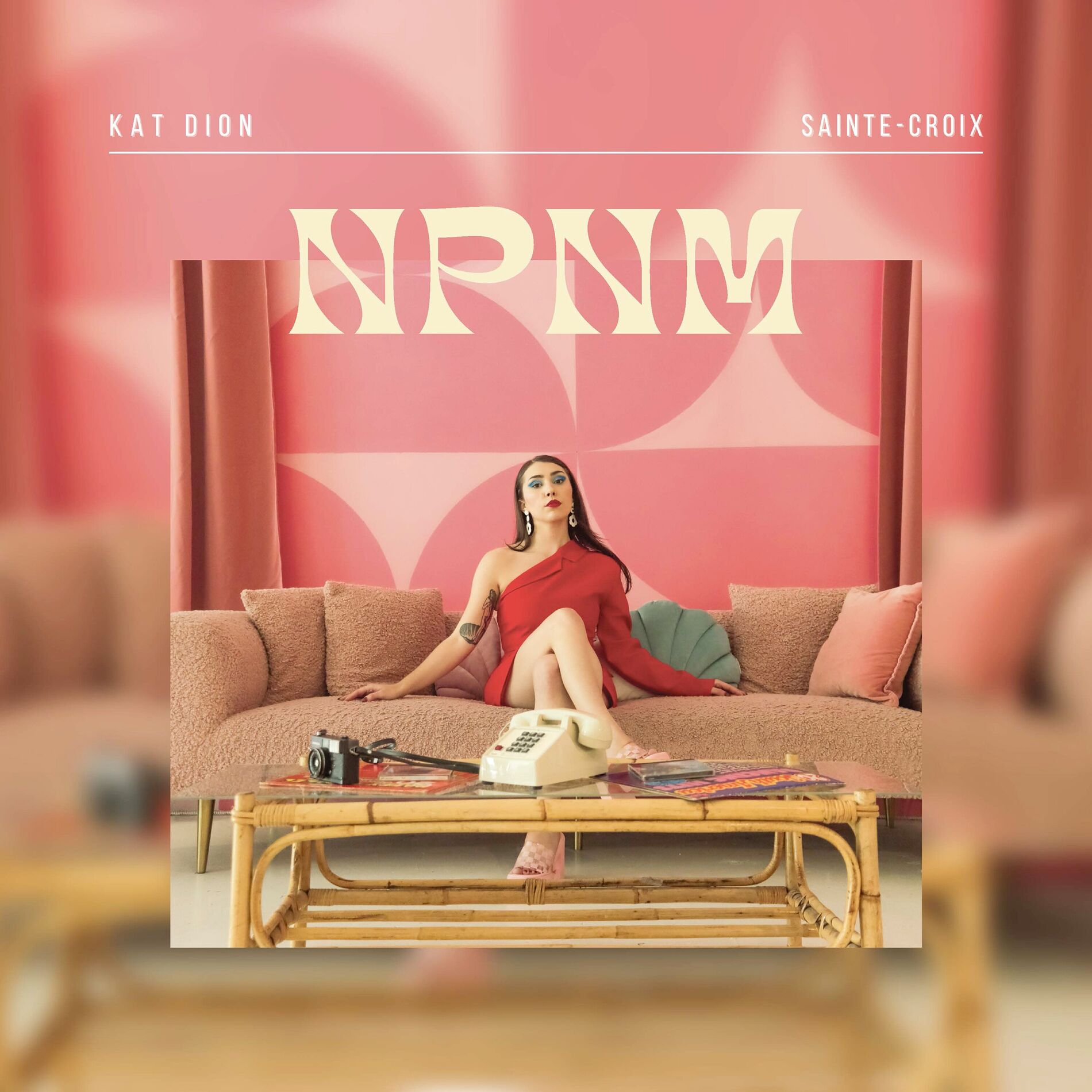 Album cover of NPNM