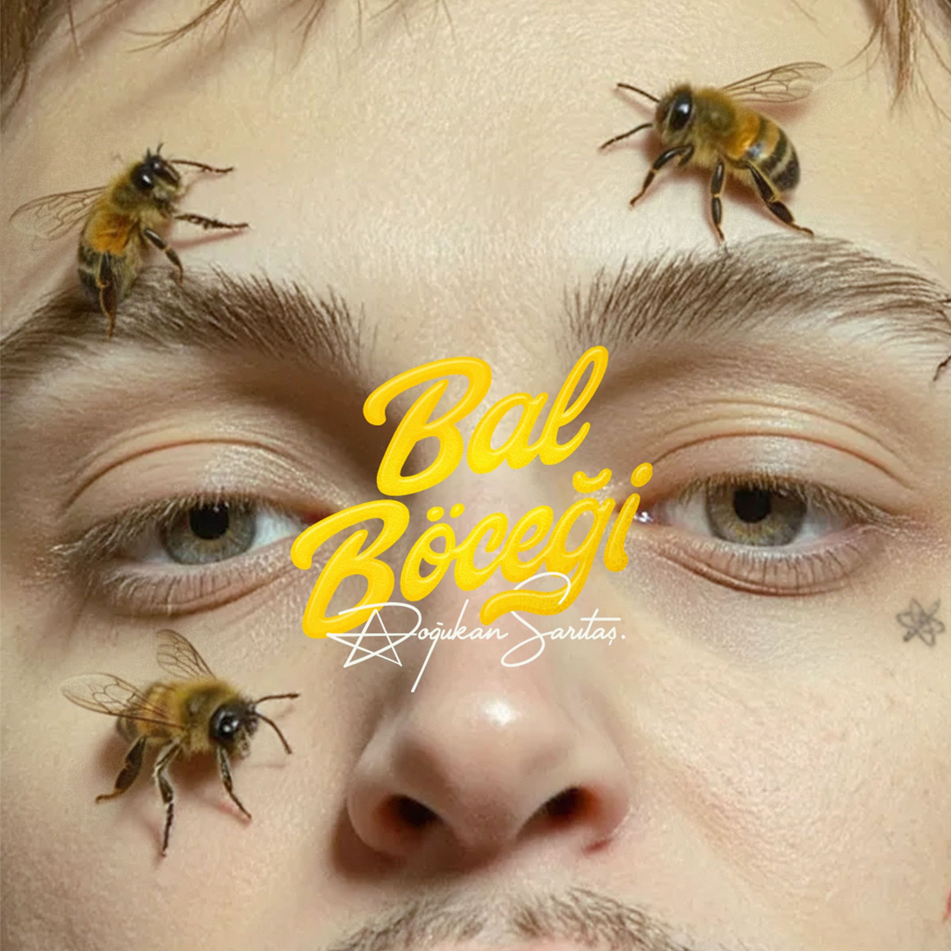 Album cover of Bal Böceği