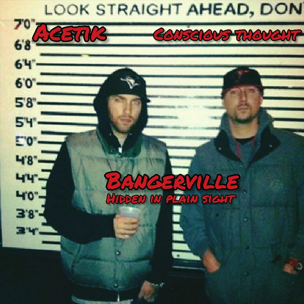Picture of Hidden in Plain Sight (feat. Bangerville & Conscious Thought)