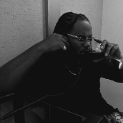 Cover of Motion Freestyle