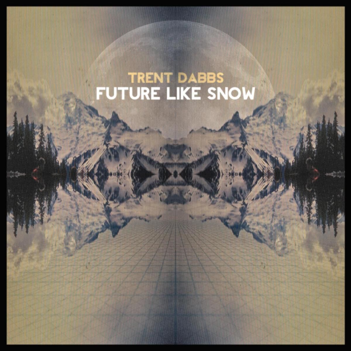 Album cover of Future Like Snow