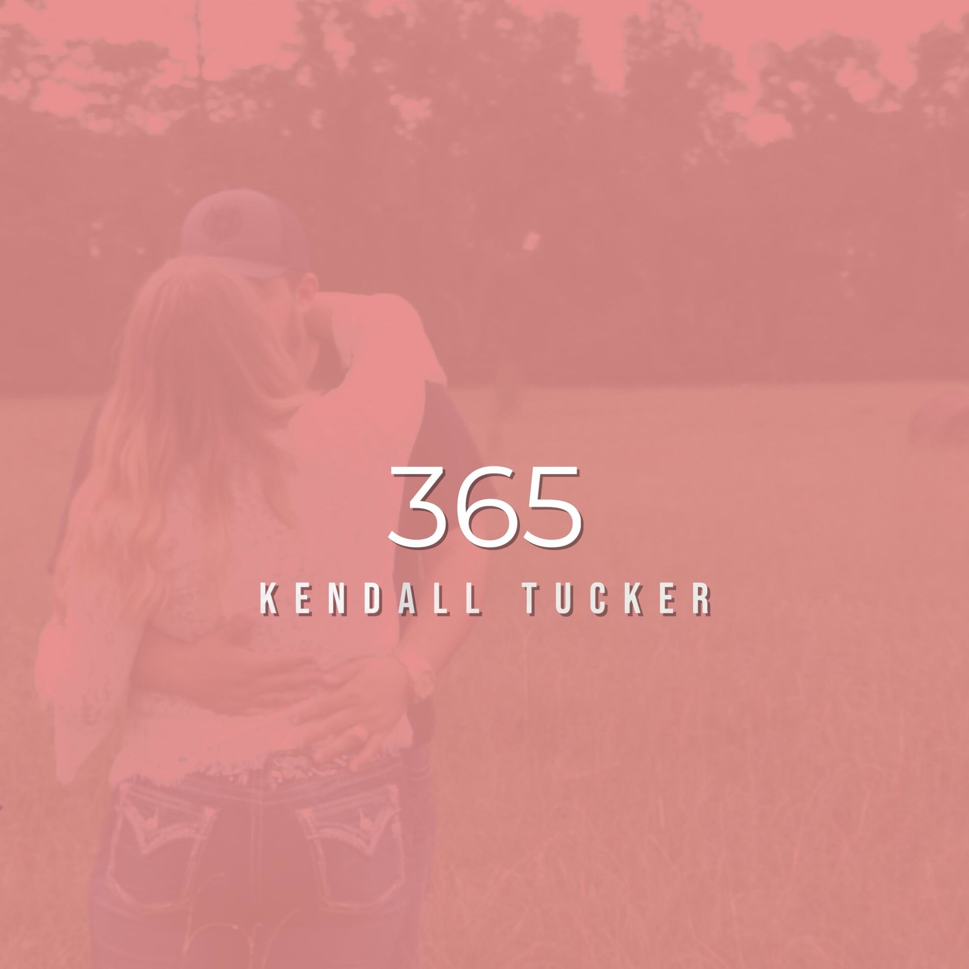 Album cover of 365
