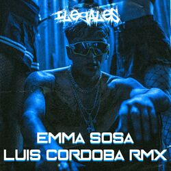 Cover of Ilegales