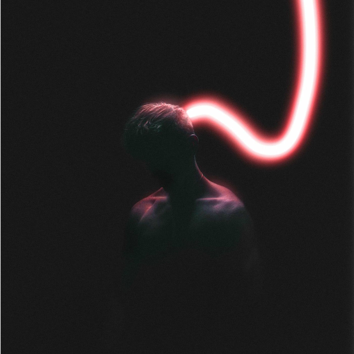 Album cover of I Will Survive