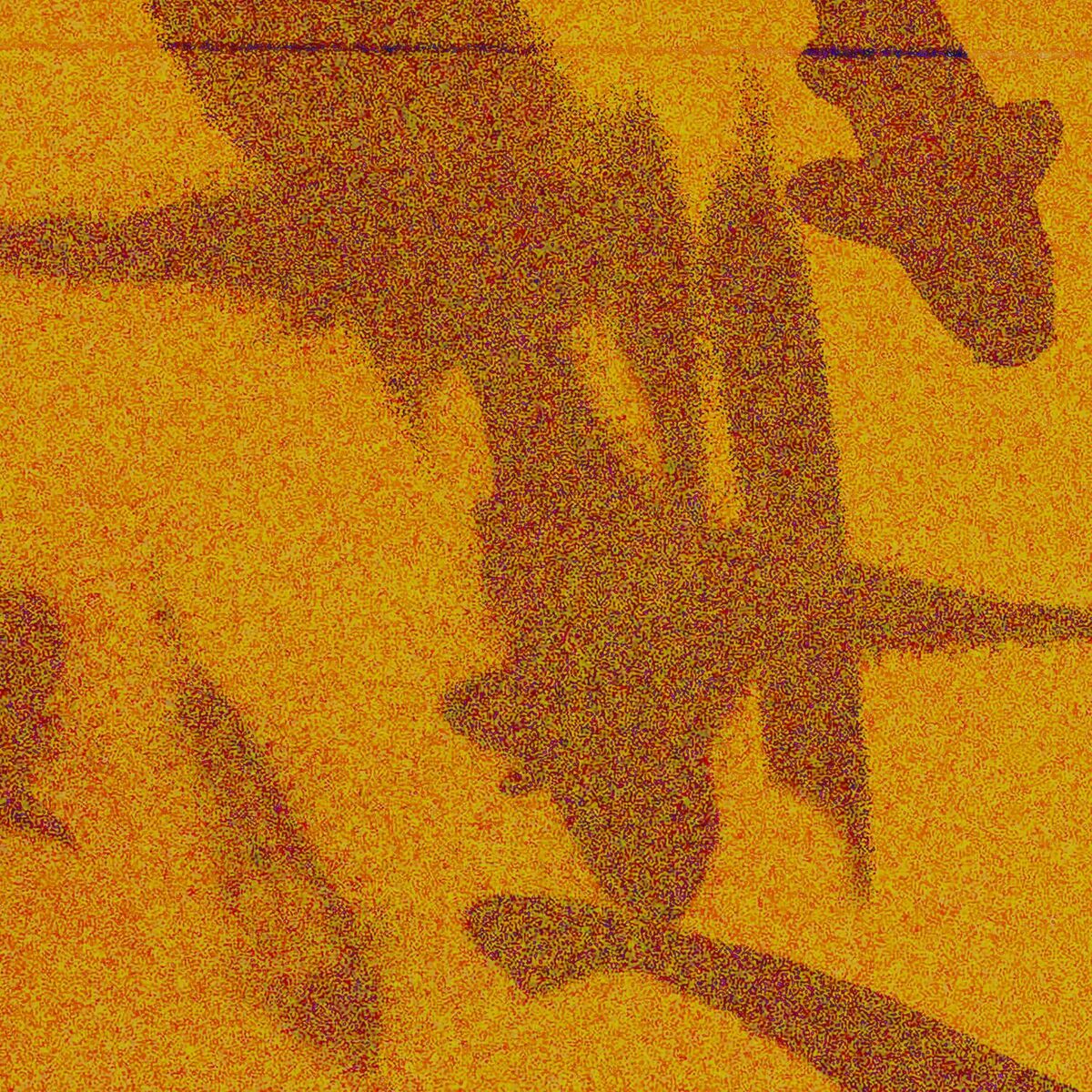 Album cover of Wild Child