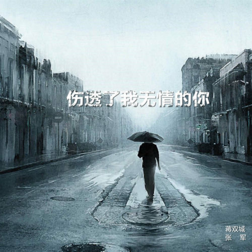 伤透了我无情的你