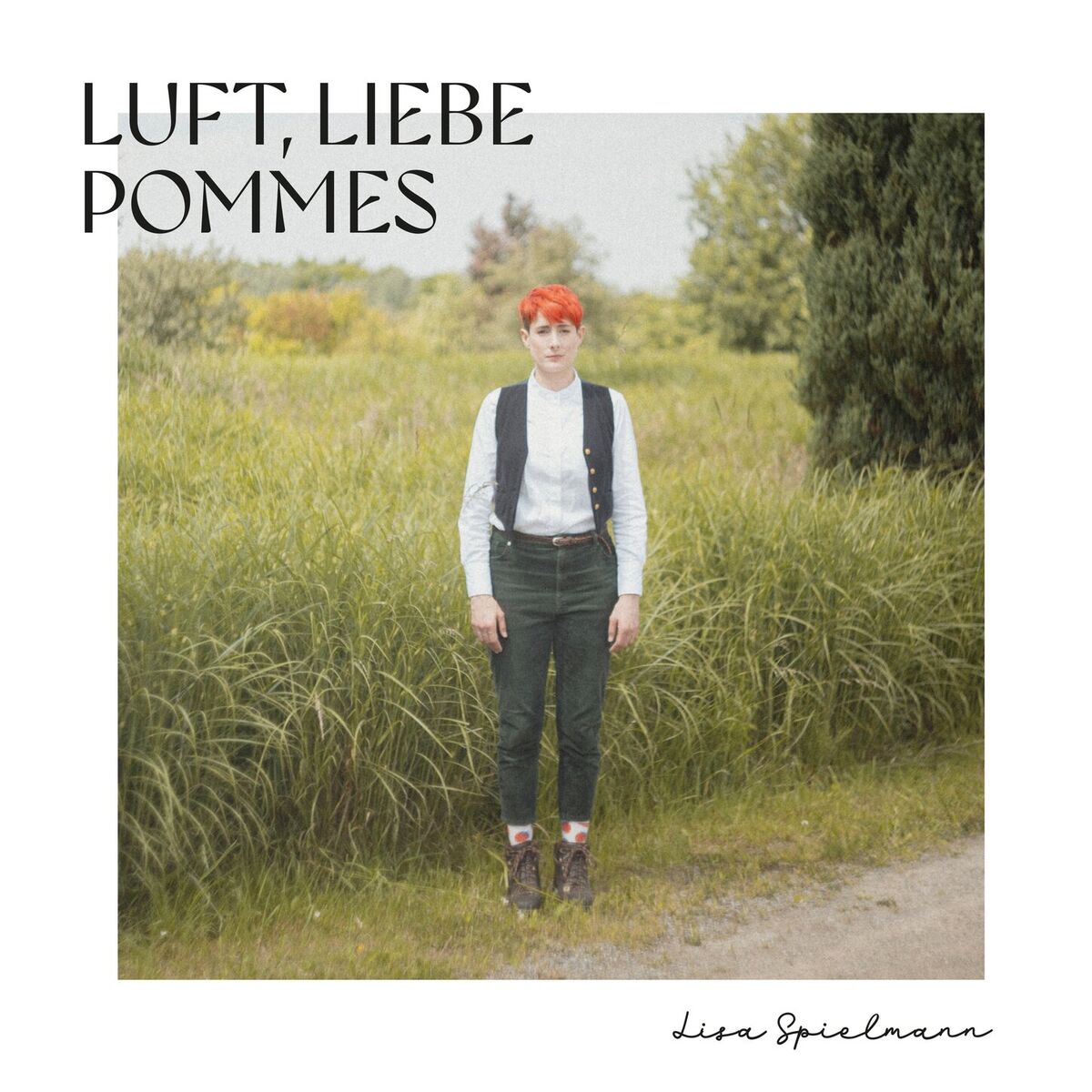 Album cover of Luft, Liebe, Pommes