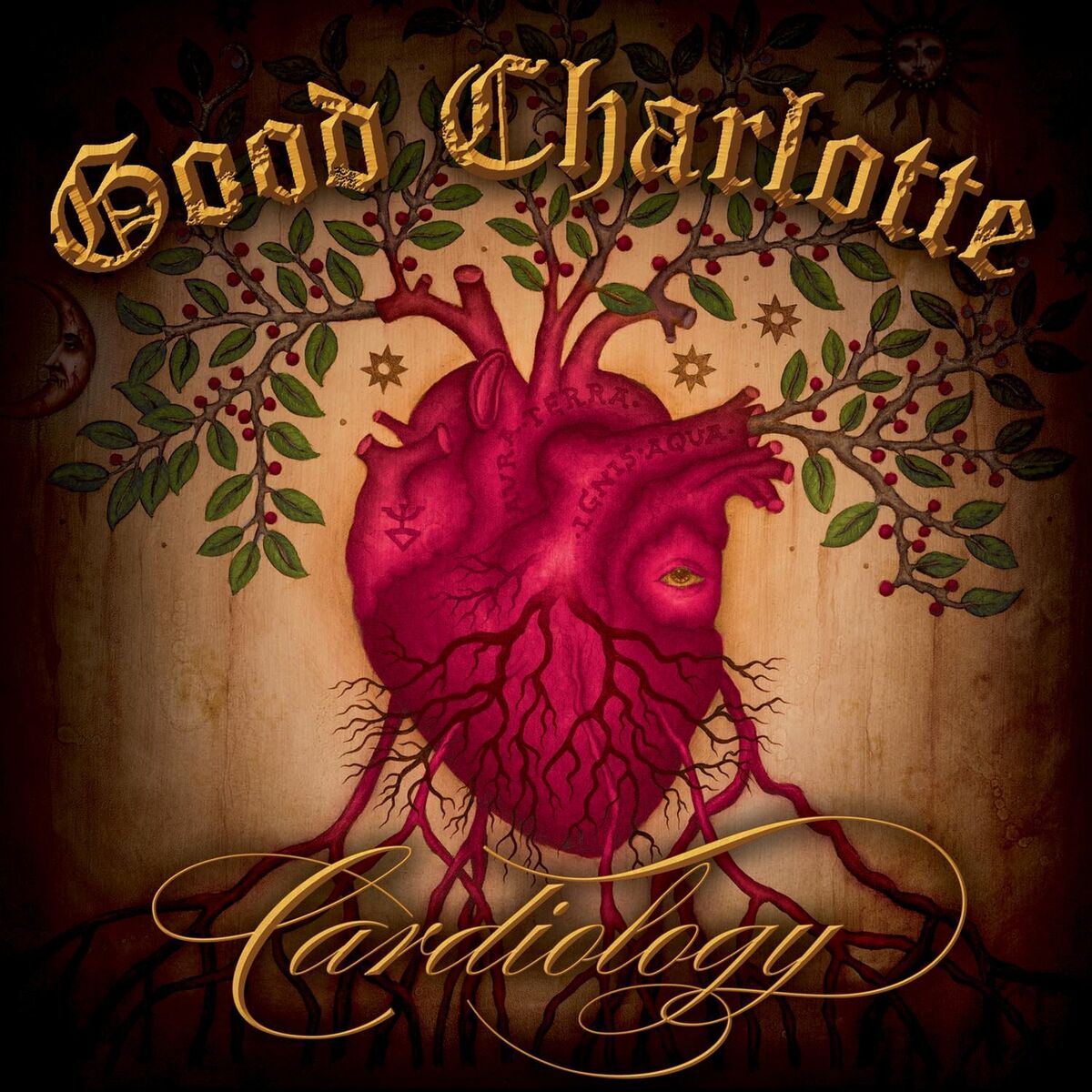 Good Charlotte Cardiology letras y canciones Escúchalas en Deezer 