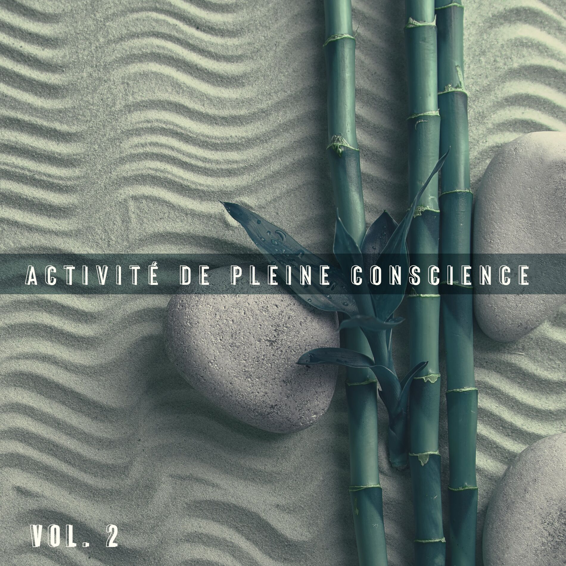 Album cover of Activité de pleine conscience Vol. 2